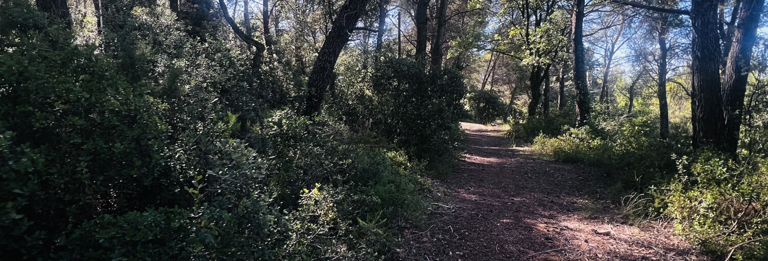 Terrain  3630 m² à vendre à Éguilles (13510)