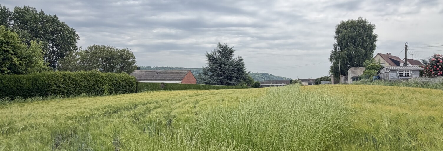 Terrain  3367 m² à vendre à Lumbres (62380)