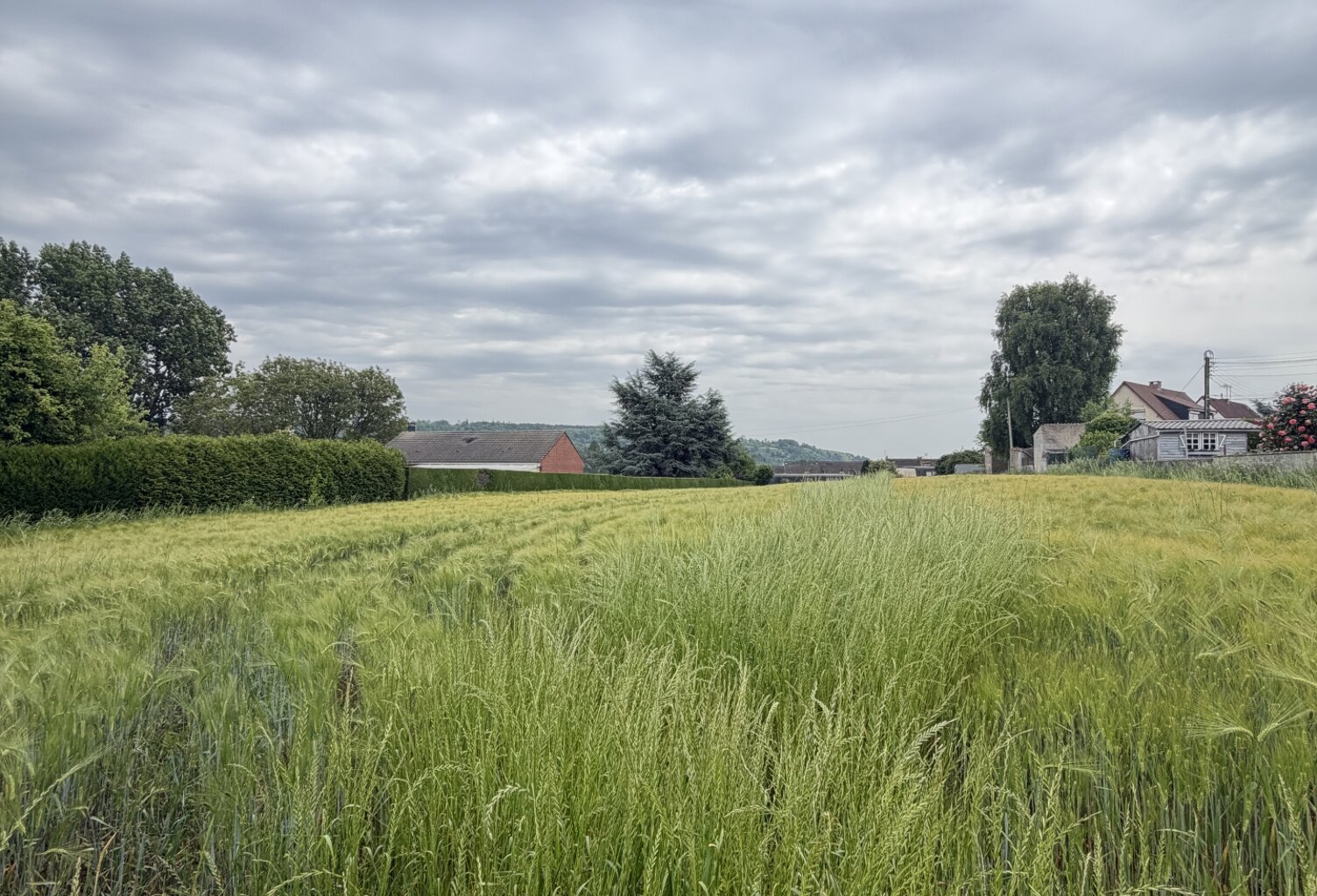 Vente Terrain à bâtir 3 367 m&sup2; — photo 1