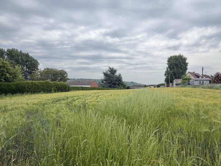 Vente Terrain à bâtir 3 367 m&sup2; — photo 1