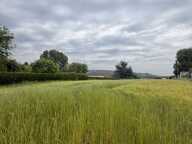Vente Terrain à bâtir 3 367 m&sup2; — photo 2