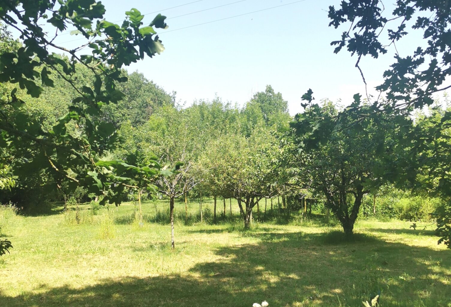 Vente Terrain 11 271 m&sup2; — photo 1
