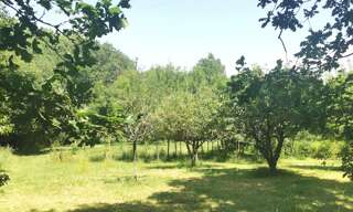 Terrain  11271 m² à vendre à Saint-Étienne-du-Bois (85670)