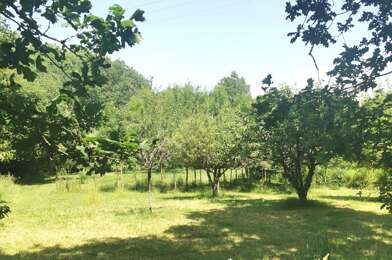 Terrain  65000 €