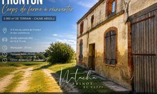 Maison 1 Pièce 260 m² à vendre à Fronton (31620)