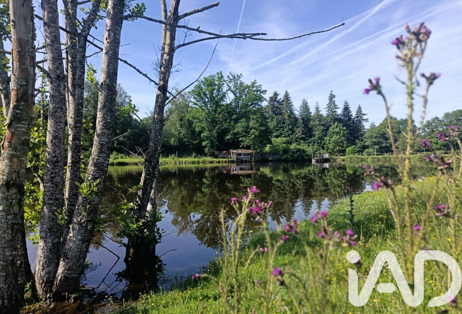 Vente Terrain 21 677 m&sup2; — photo 1
