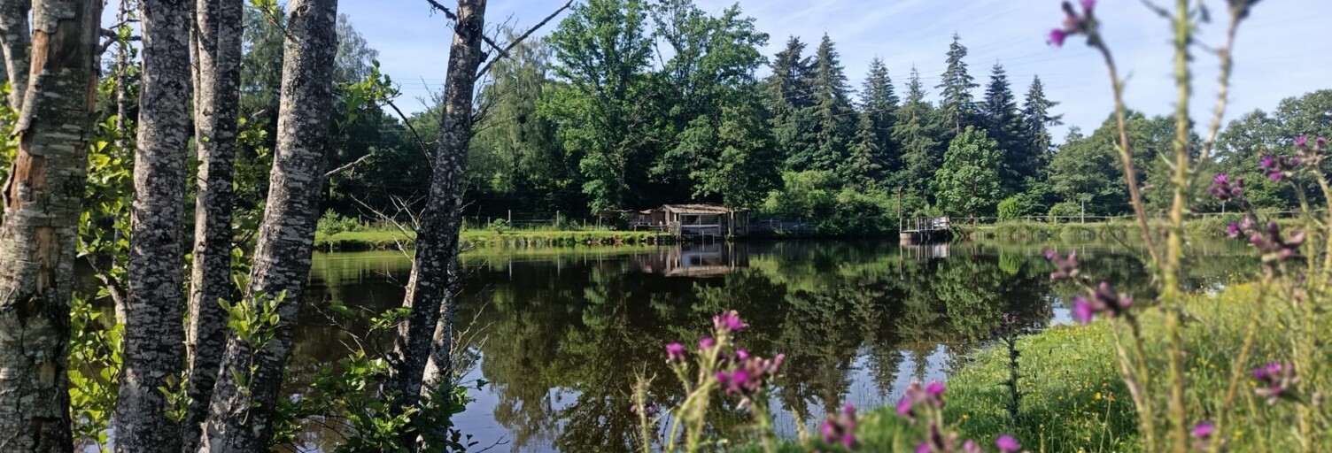 Terrain  21677 m² à vendre à Champnétery (87400)