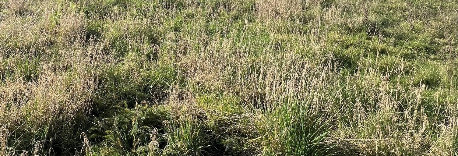 Terrain  2151 m² à vendre à Estrées-Deniécourt (80200)