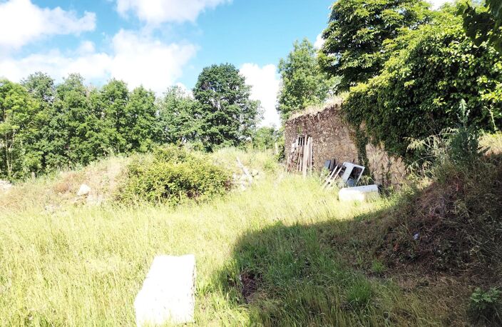 Terrain fruitier proche du château Roger — photo 3