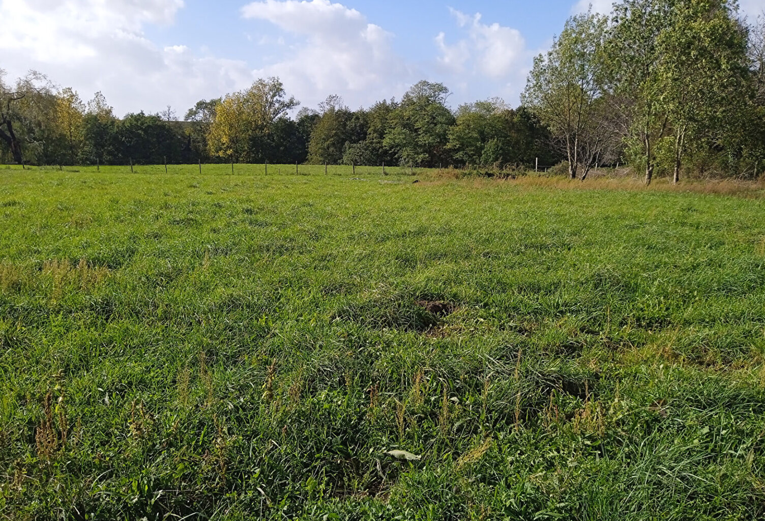 A VENDRE TERRAIN A BATIR VIABILISÉ DE 996 M2 - VAL-DE-LIVENNE — photo 1