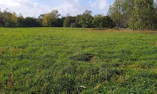 Terrain  996 m² à vendre à Saint-Ciers-sur-Gironde (33820)