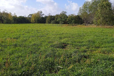 Terrain  44000 €