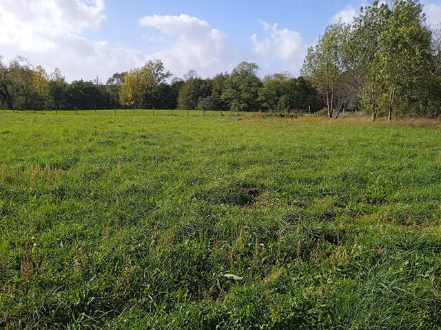 A VENDRE TERRAIN A BATIR VIABILISÉ DE 996 M2 - VAL-DE-LIVENNE — photo du bien