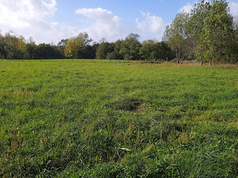 A VENDRE TERRAIN A BATIR VIABILISÉ DE 996 M2 - VAL-DE-LIVENNE — photo 1
