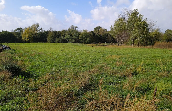 A VENDRE TERRAIN A BATIR VIABILISÉ DE 996 M2 - VAL-DE-LIVENNE — photo 3