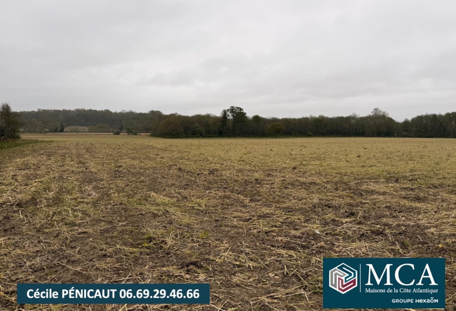 Terrain à bâtir à Mimbaste (40350) — photo 1