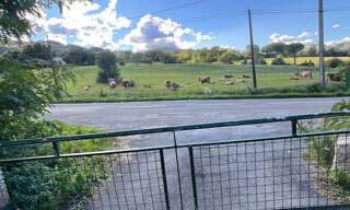 Photo N° 2