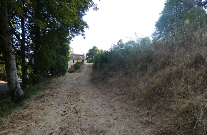 proche de ARGENTAN (61) propriété de 9078 m² de terrain — photo 5