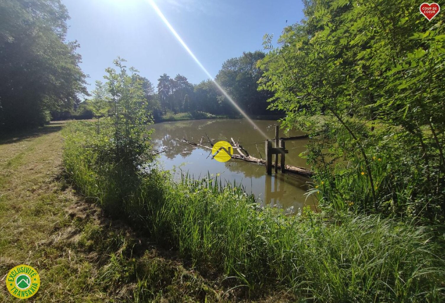 Étangs à l'abris des regards ! — photo 1