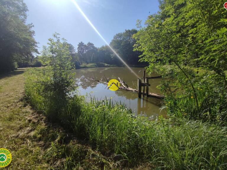 Étangs à l'abris des regards ! — photo 1