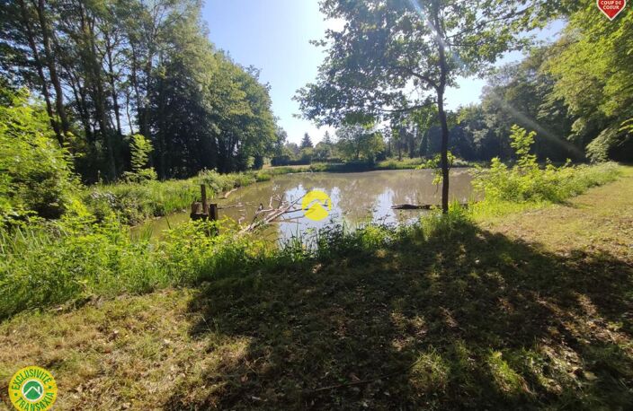 Étangs à l'abris des regards ! — photo 2