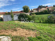 terrain — photo 4