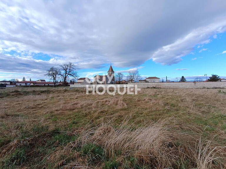 terrain — photo 1