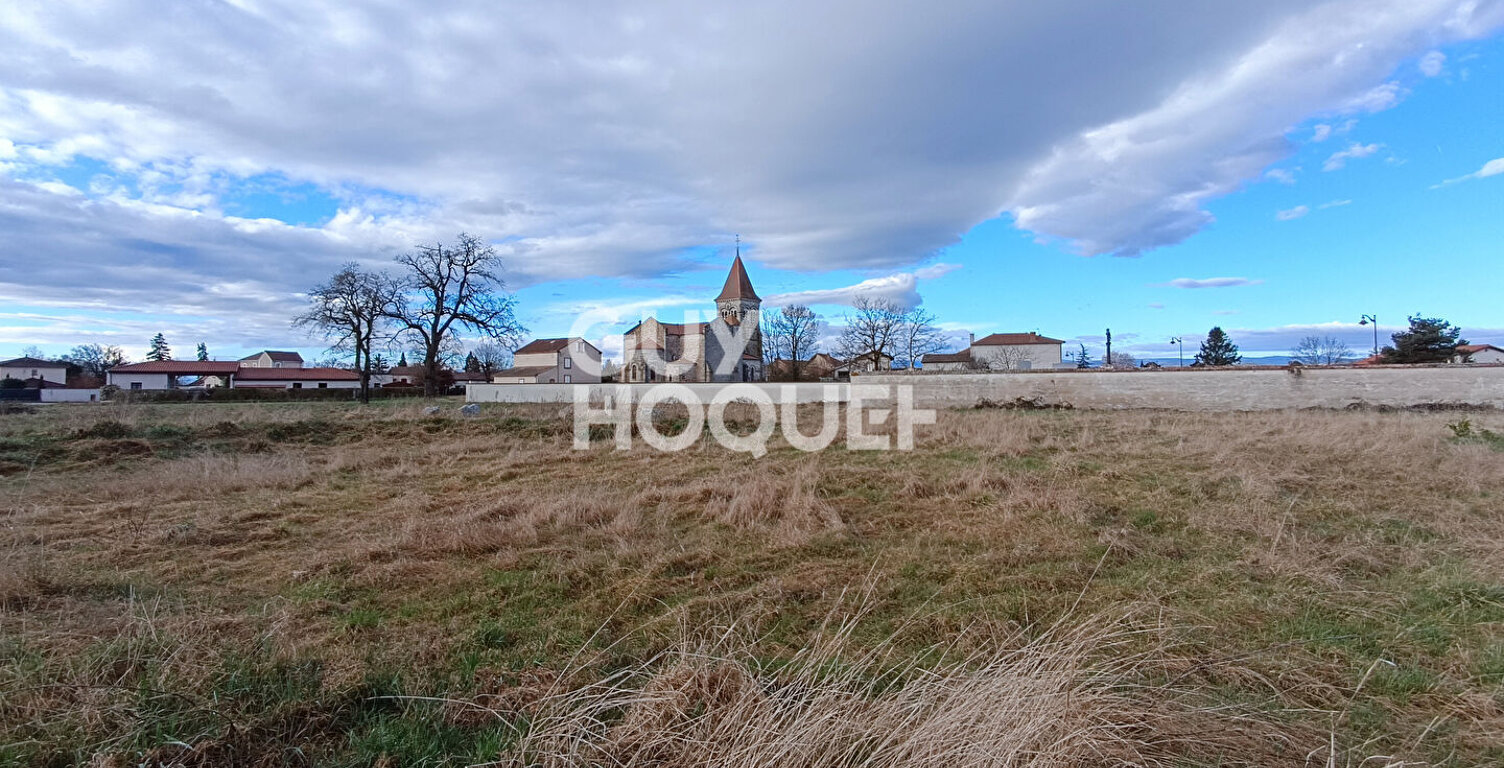 terrain — photo 1