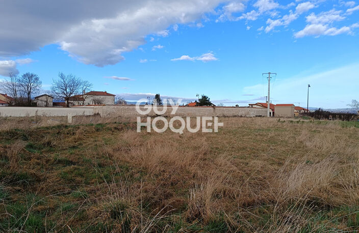 terrain — photo 2