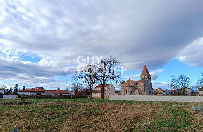 terrain — photo 3