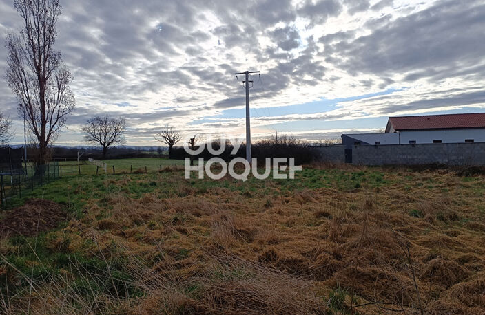 terrain — photo 4