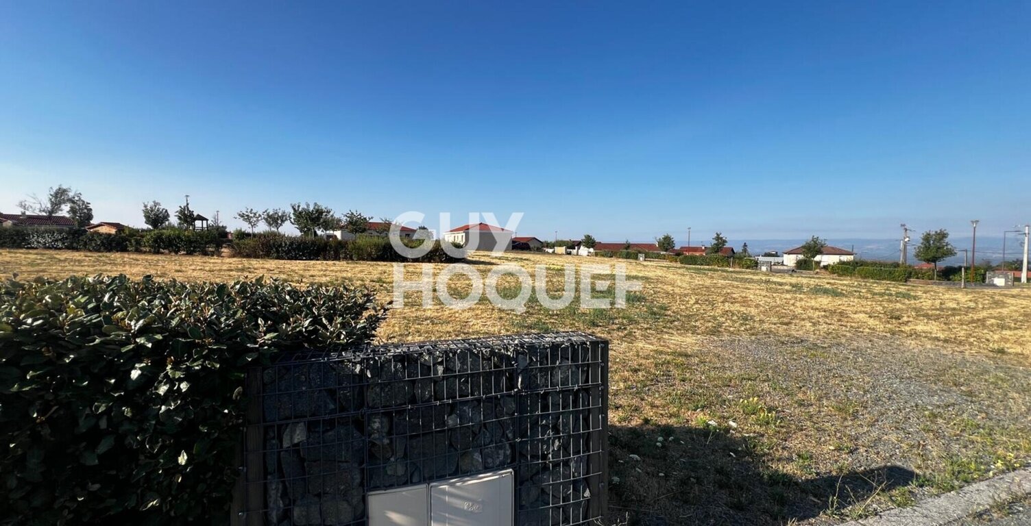 terrain — photo 1