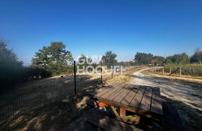 terrain — photo 4