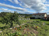 maison — photo 2