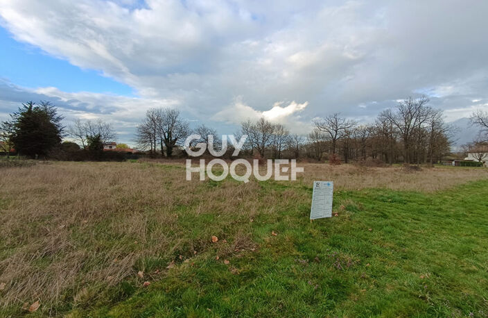 terrain — photo 2