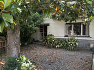 CÔTE PAVÉE   GRANDE MAISON TYPE 6/7 AVEC GARAGE , DEPENDANCES ET JARDIN ARBORE — photo 2