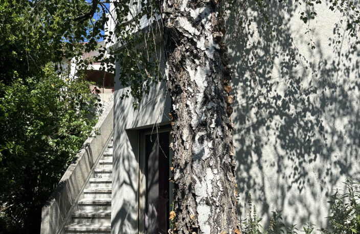 CÔTE PAVÉE   GRANDE MAISON TYPE 6/7 AVEC GARAGE , DEPENDANCES ET JARDIN ARBORE — photo 3