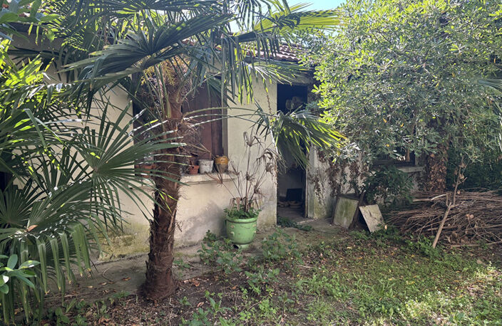 CÔTE PAVÉE   GRANDE MAISON TYPE 6/7 AVEC GARAGE , DEPENDANCES ET JARDIN ARBORE — photo 4