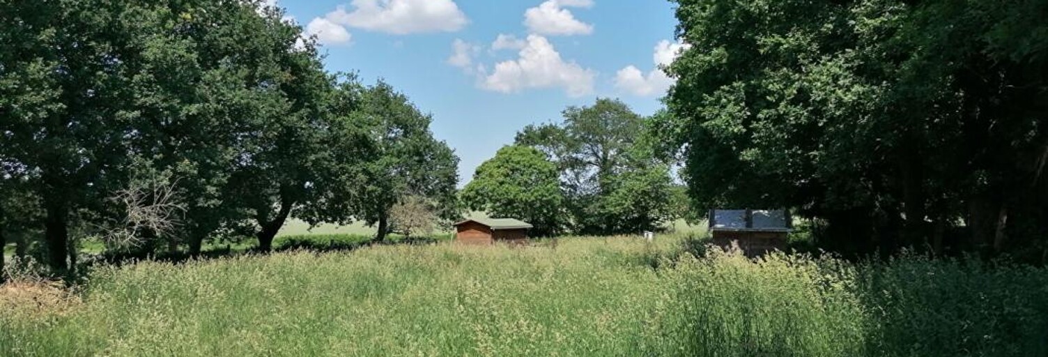 Terrain  2000 m² à vendre à Loyat (56800)