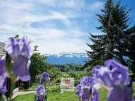 Plateau des Petites Roches (38660) - Chalet en madriers 4 chambres+ studio + carport + jardin — photo 3