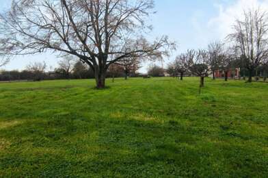 Terrain  55590 €