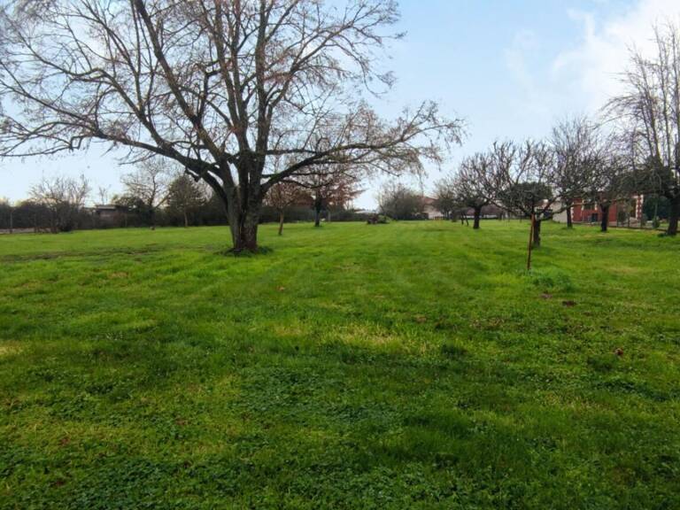 Terrain constructible plat arbore — photo 1