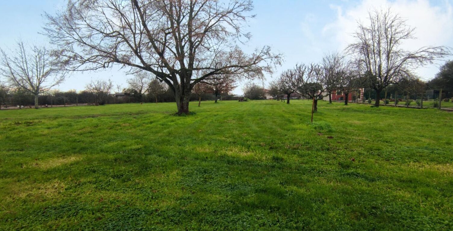 Terrain constructible plat arbore — photo 1