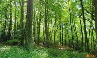 Terrain  2941 m² à vendre à Saint-Gatien-des-Bois (14130)