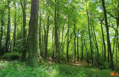 Terrain à bâtir au coeur d'une forêt - domaine sécurisé — photo du bien