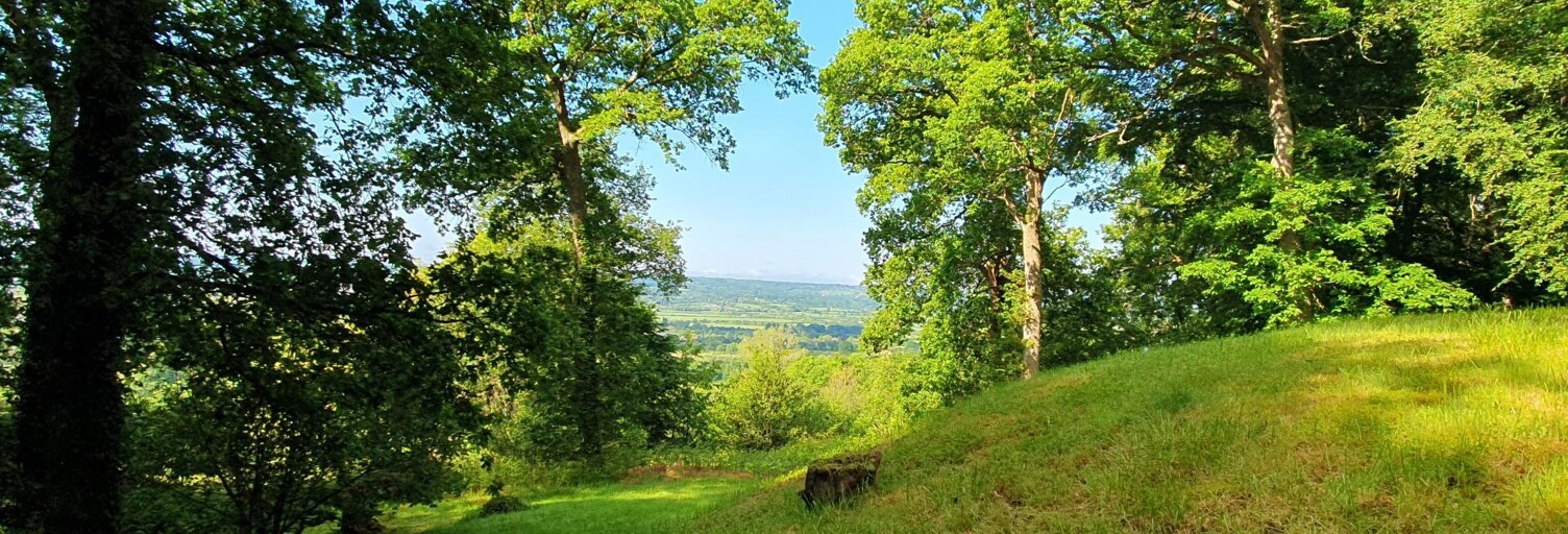 Terrain  4099 m² à vendre à Saint-Gatien-des-Bois (14130)