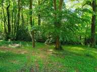 Terrain à bâtir au coeur d'une forêt - domaine sécurisé — photo 4