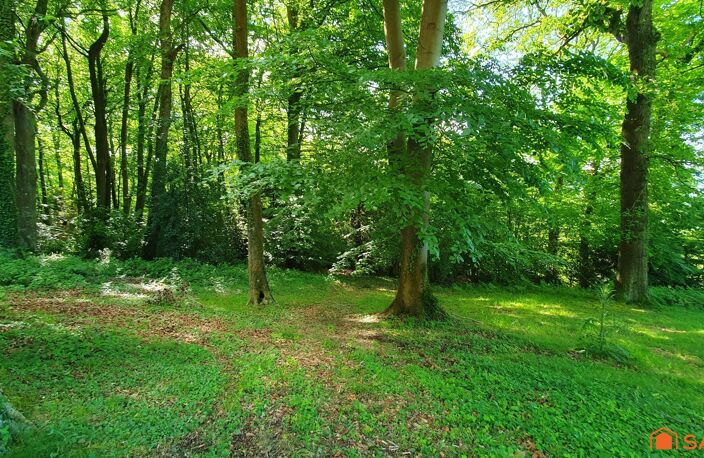 Terrain à bâtir au coeur d'une forêt - domaine sécurisé — photo 4