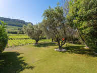 CASSIS PROPRIÉTÉ CONTEMPORAINE D'EXCEPTION AU COEUR DES VIGNES — photo 3