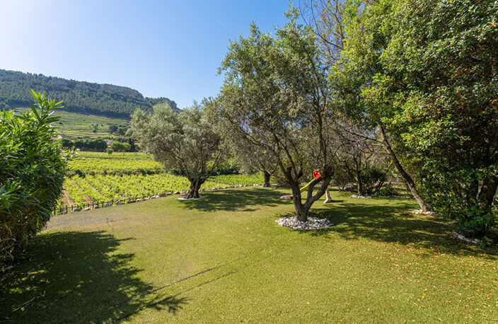 CASSIS PROPRIÉTÉ CONTEMPORAINE D'EXCEPTION AU COEUR DES VIGNES — photo 3